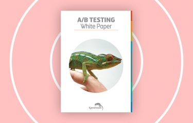 ab testing white paper