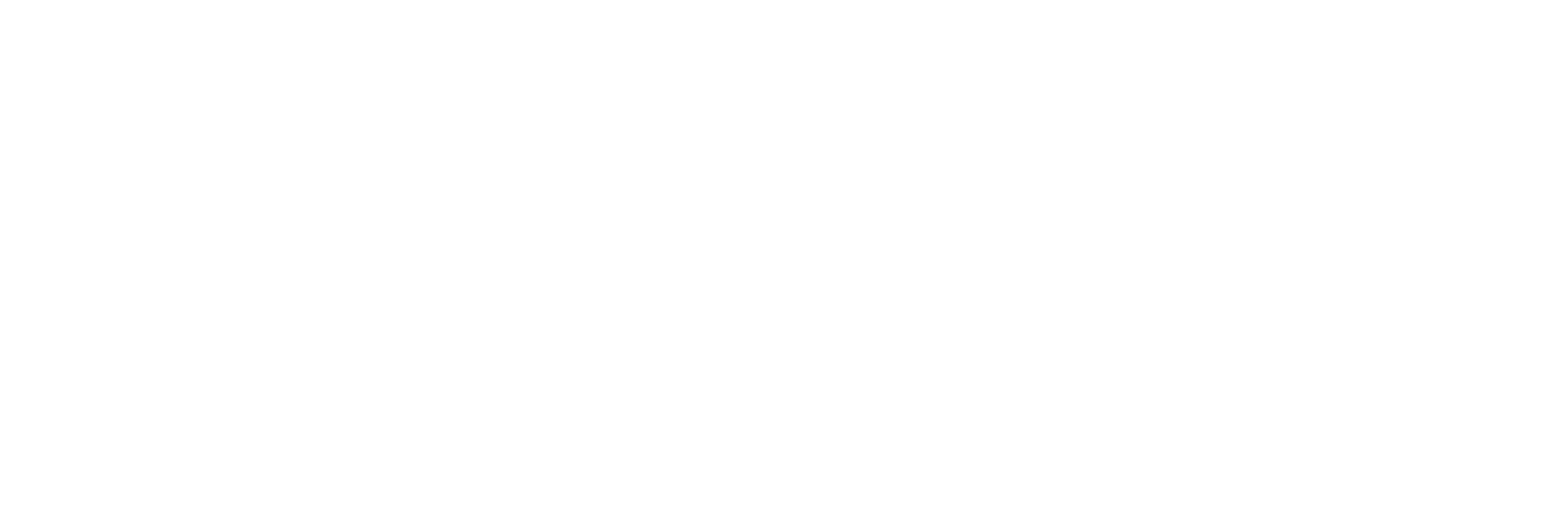 onepark